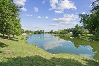 Community pond & turtle viewing at round rock turtle pond